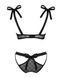 Напівпрозорий еротичний комплект Obsessive Obsessivia 2-pcs set black, бюстгальтер та трусики, S/M